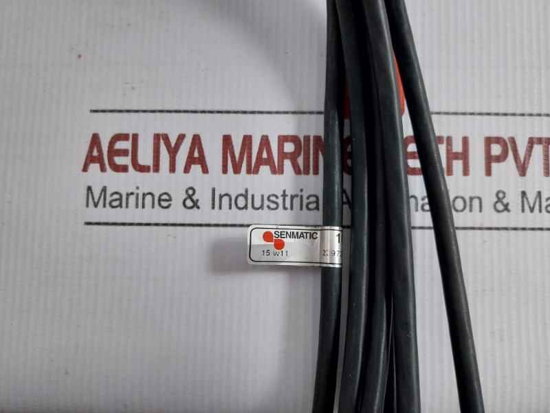 Senmatic Level Sensor Probe With Cable 5-meter 1018-031