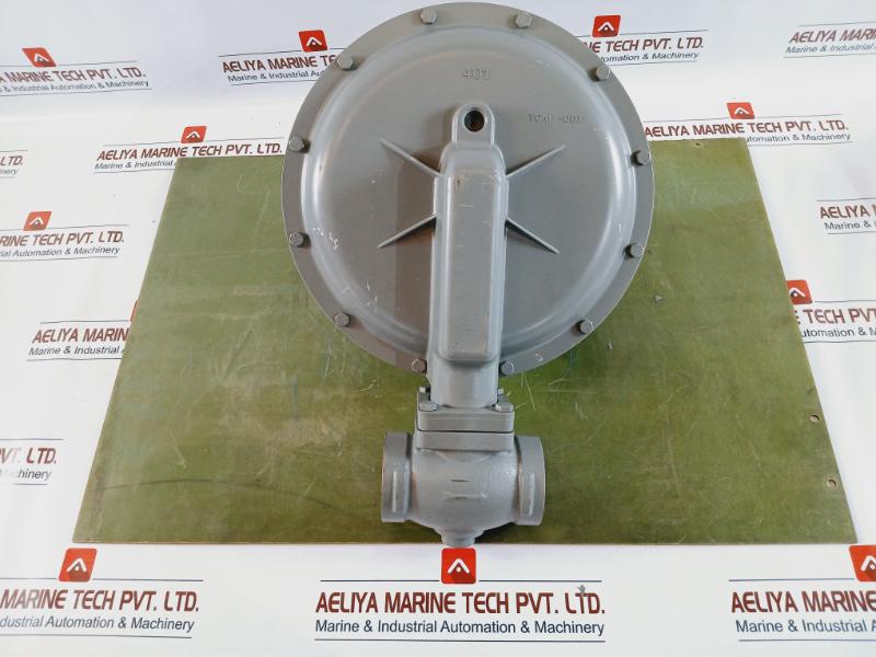 Sensus 243-12 Pressure Regulator, Irv, Tcmt-001