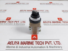 Shan-ho 6A 250Vac Heavy-duty Rotary Selector Switch
