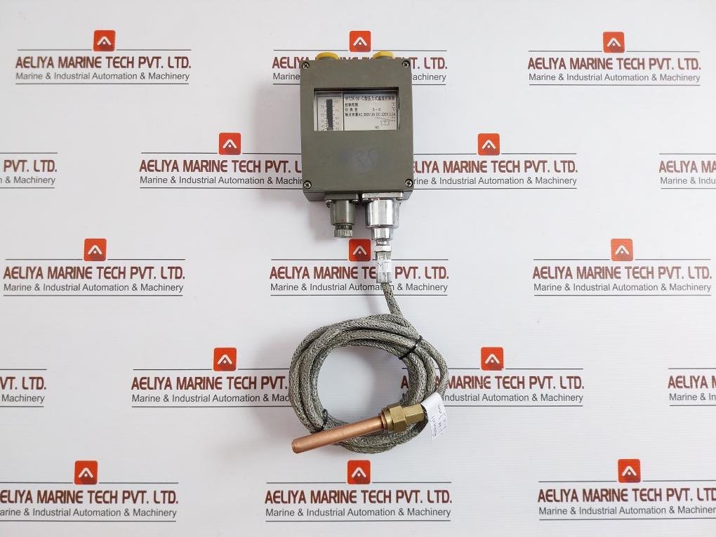 Shanghai-Ac380V-3A-Length-76Mm-35-C-Pressure-Temperature-Controller-WTZK-50-C-210331-1