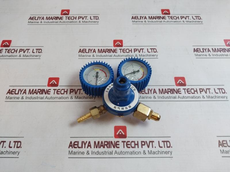 Shanghai Lz02830020 Oxygen Pressure Reducer 0-2.5 Mpa A2306062, A2305272