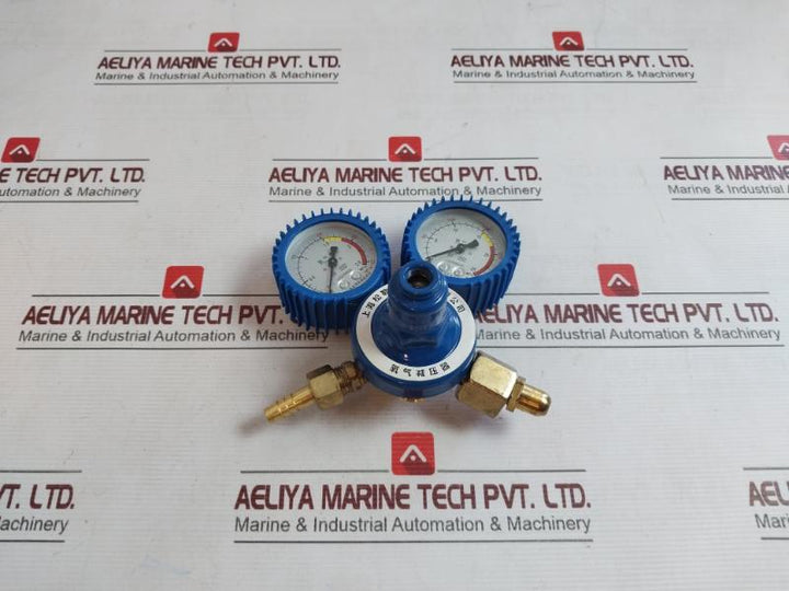 Shanghai Lz02830020 Oxygen Pressure Reducer 0-2.5 Mpa A2306062, A2305272
