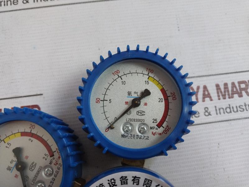 Shanghai Lz02830020 Oxygen Pressure Reducer 0-2.5 Mpa A2306062, A2305272