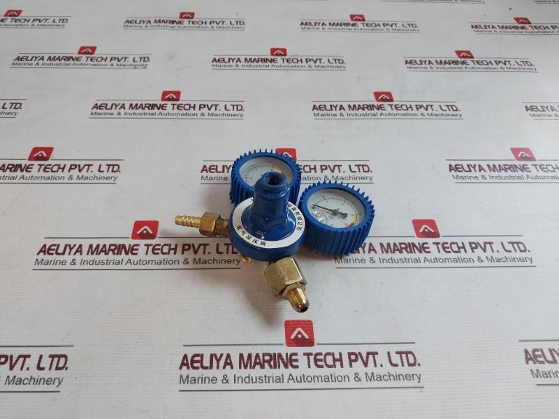 Shanghai Lz02830020 Oxygen Pressure Reducer 0-2.5 Mpa A2306062, A2305272