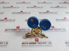 Shanghai Lz02830020 Oxygen Pressure Reducer 0-2.5 Mpa A2306062, A2305272