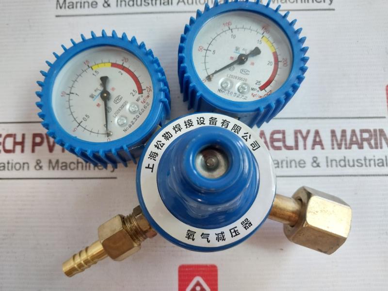 Shanghai Lz02830020 Oxygen Pressure Reducer 0-2.5 Mpa A2306062, A2305272