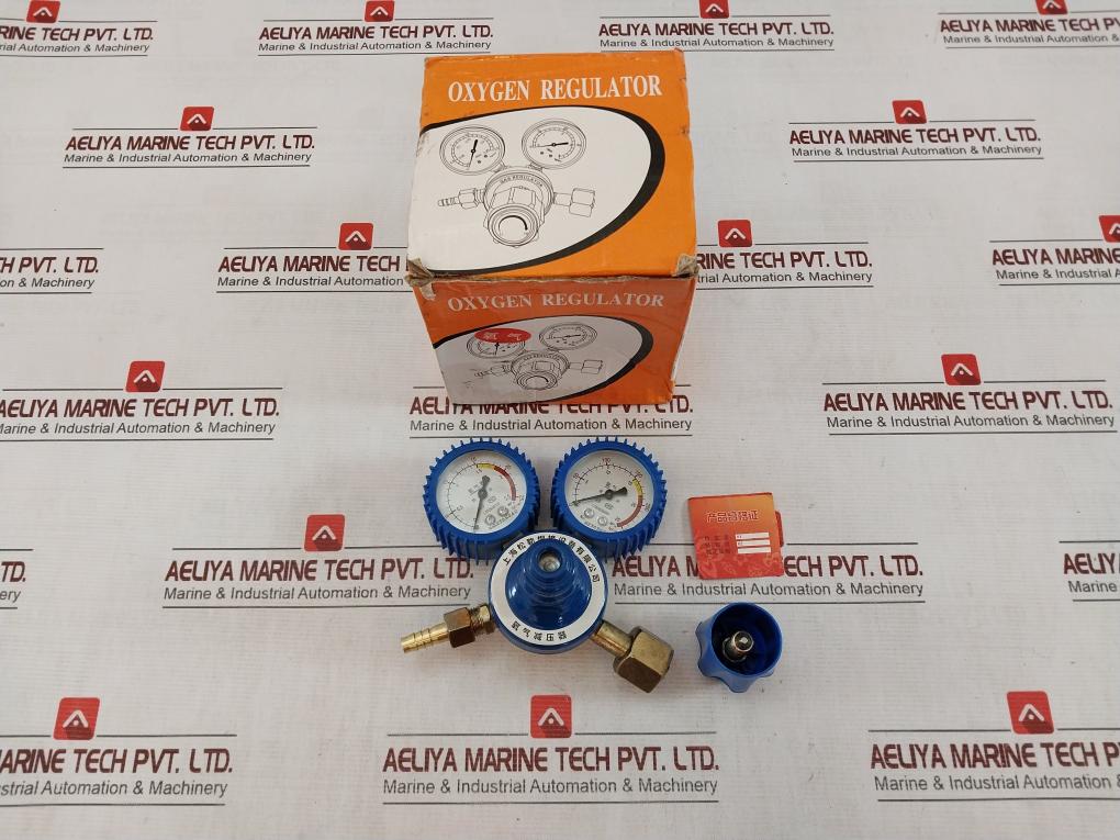 Shanghai Songle Welding Oxygen Regulator/Pressure Reducer 0-25 Mpa Lz02830020