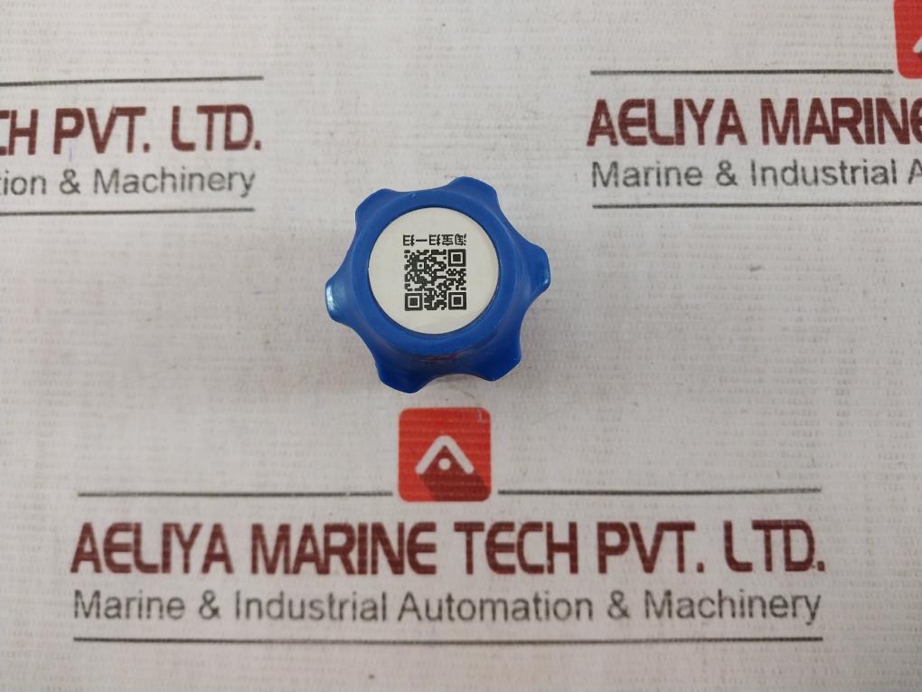 Shanghai Songle Welding Oxygen Regulator/Pressure Reducer 0-25 Mpa Lz02830020