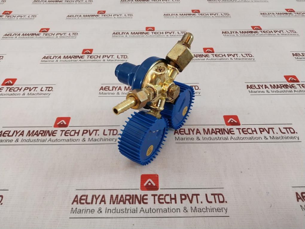 Shanghai Songle Welding Oxygen Regulator/Pressure Reducer 0-25 Mpa Lz02830020