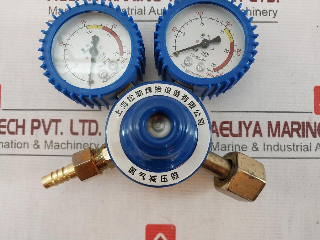 Shanghai Songle Welding Oxygen Regulator/Pressure Reducer 0-25 Mpa Lz02830020