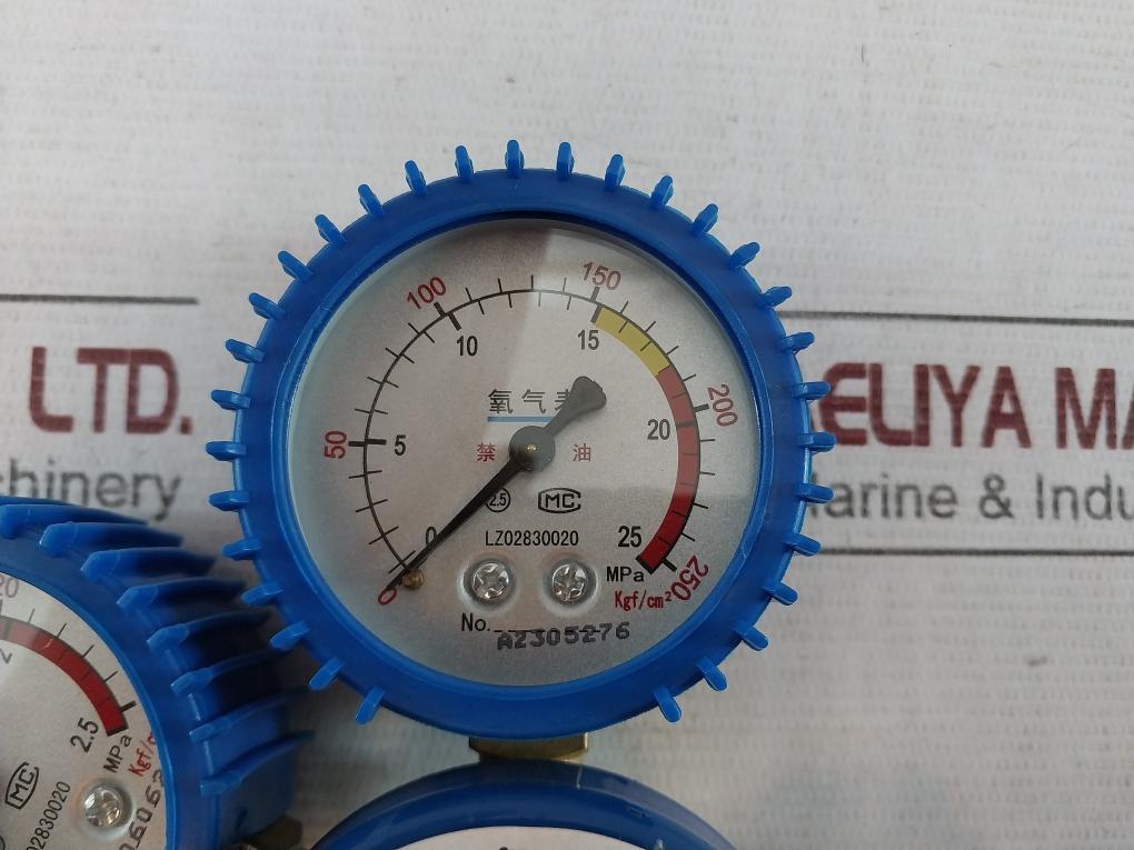 Shanghai Songle Welding Oxygen Regulator/Pressure Reducer 0-25 Mpa Lz02830020