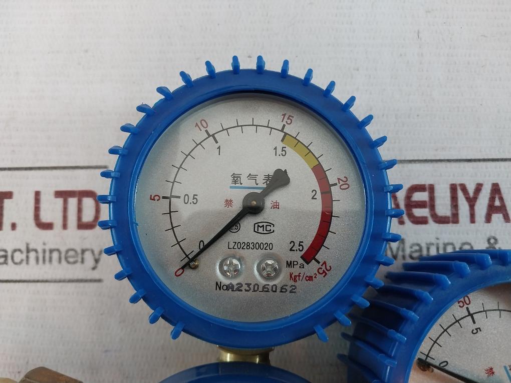 Shanghai Songle Welding Oxygen Regulator/Pressure Reducer 0-25 Mpa Lz02830020