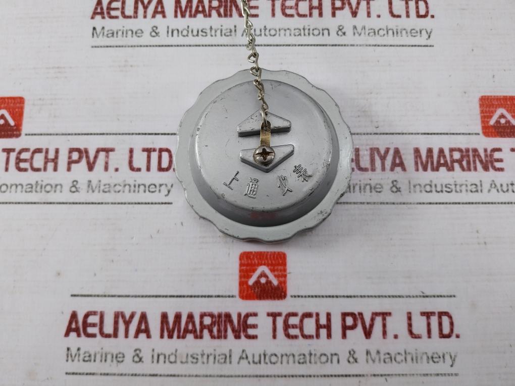 Shangtong Pt100 Thin Film Sensor M27X2 58 Mm -200 To +500°C