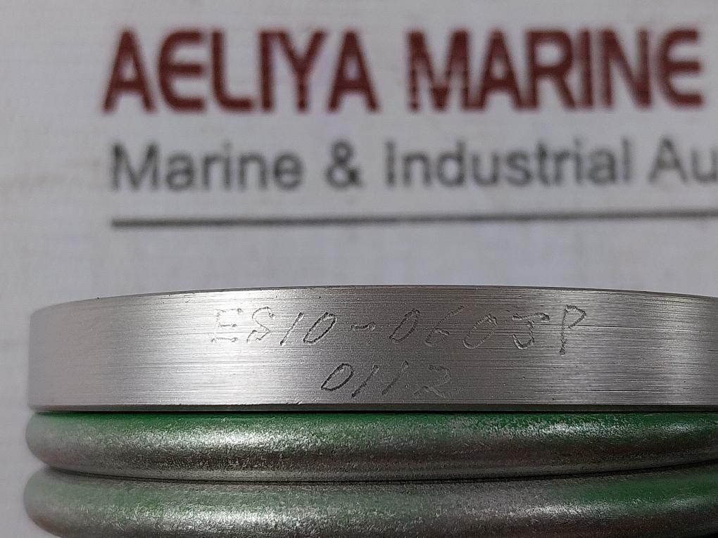 Shinko Es10-060Jp Mechanical Seal Packing Set 54