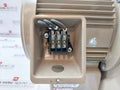 Showa Denki Ec-h10-r313 Direct Drive Blower 1.0Kw 2 Poles 190F 4.1 A