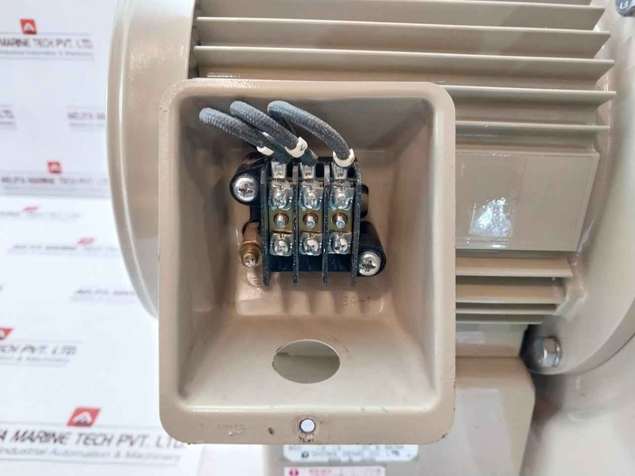 Showa Denki Ec-h10-r313 Direct Drive Blower 1.0Kw 2 Poles 190F 4.1 A