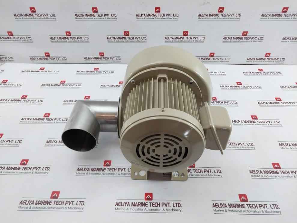 Showa Denki Fsm-h04-r313 Electric Air Blower 0.4kw 2poles 100c-110b 190f