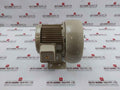 Showa Denki Fsm-h04-r313 Electric Air Blower 0.4kw 2poles 100c-110b 190f