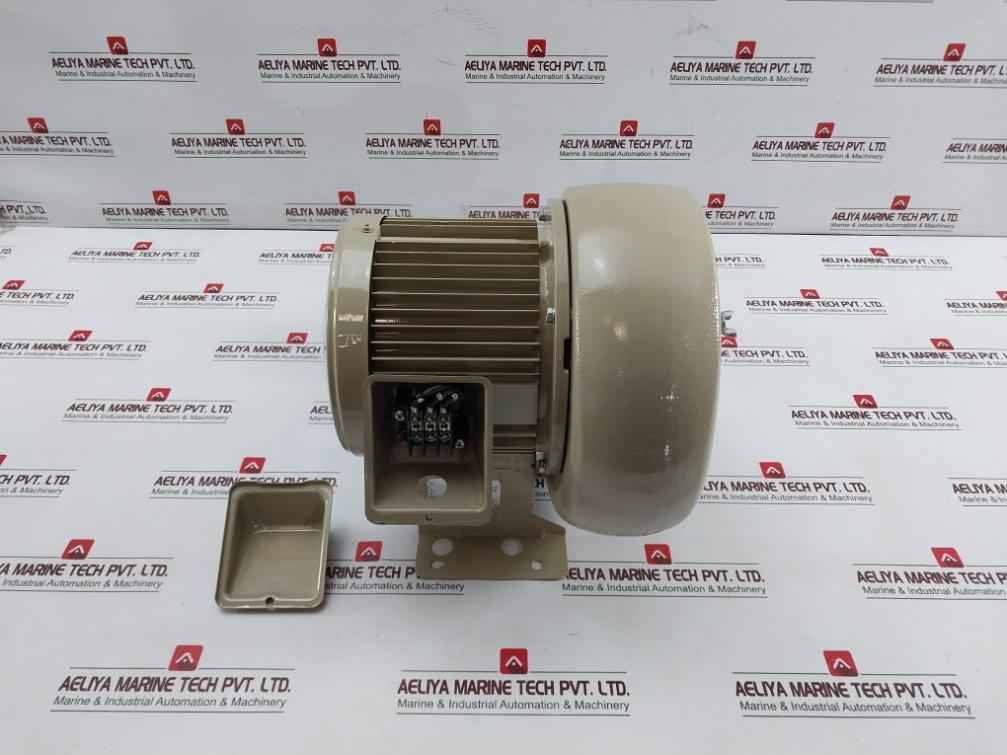 Showa Denki Fsm-h04-r313 Electric Air Blower 0.4kw 2poles 100c-110b 190f