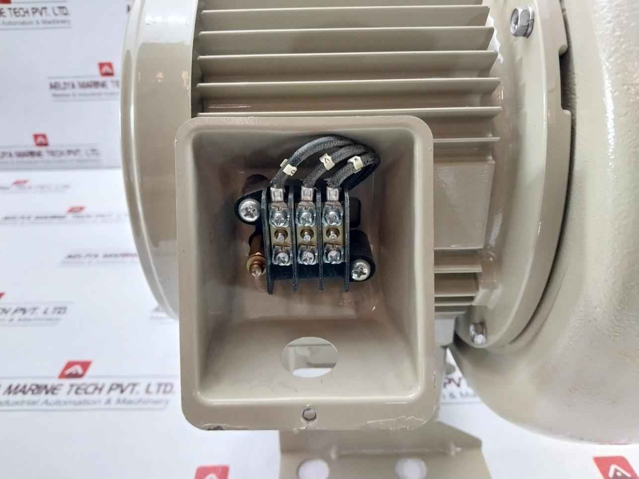 Showa Denki Fsm-h04-r313 Electric Air Blower 0.4kw 2poles 100c-110b 190f