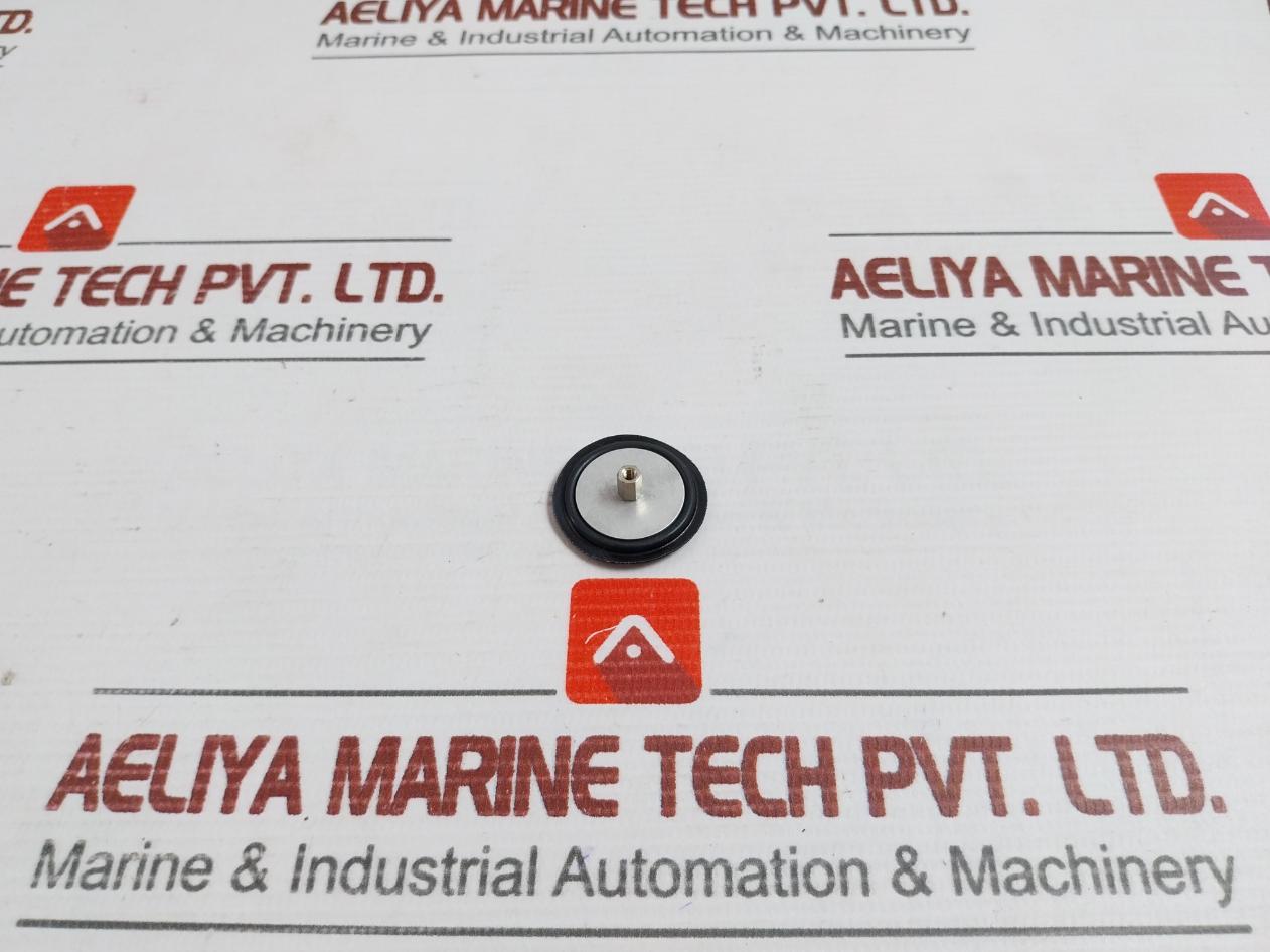 Siebe Bheg 411 177 141 Eckardt Valve Seal