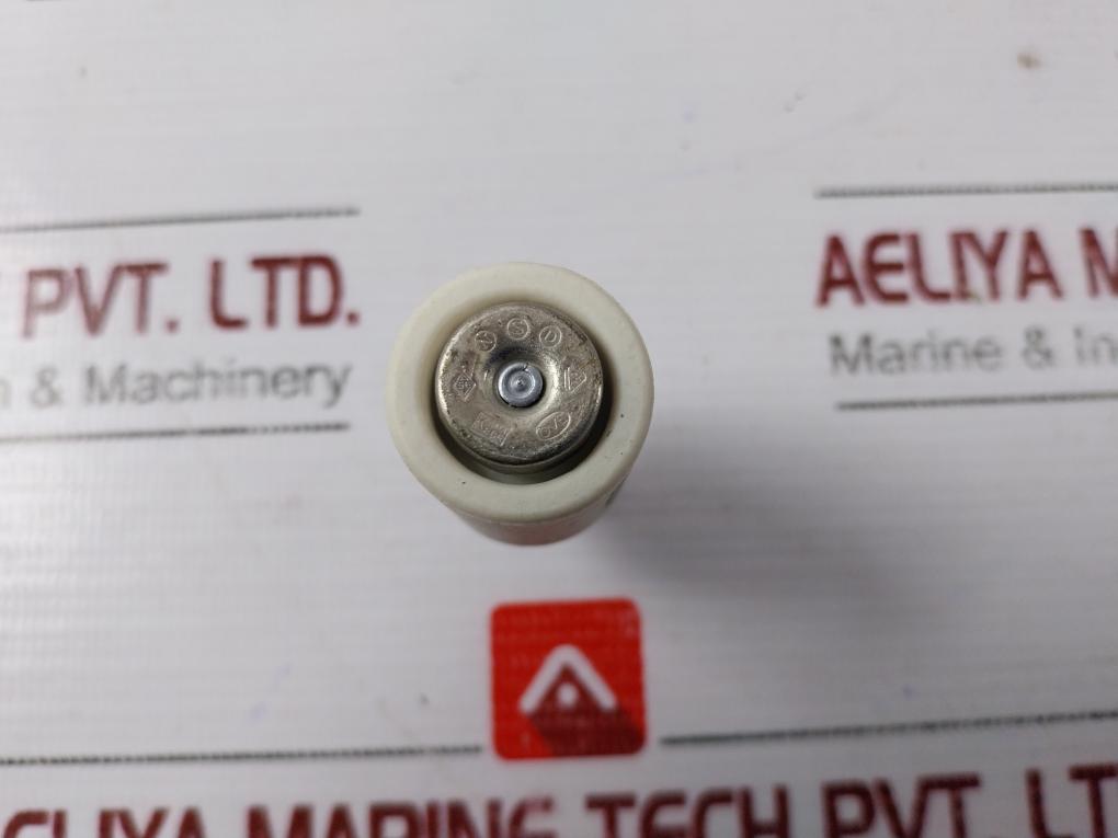 Siemens 5Sb2916-1 Bottle Fuse 16A [1 Box = 5Pcs]