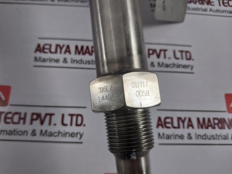 Siemens Pointek Cls300 Capacitance Level Switch 12-250V Ac/Dc