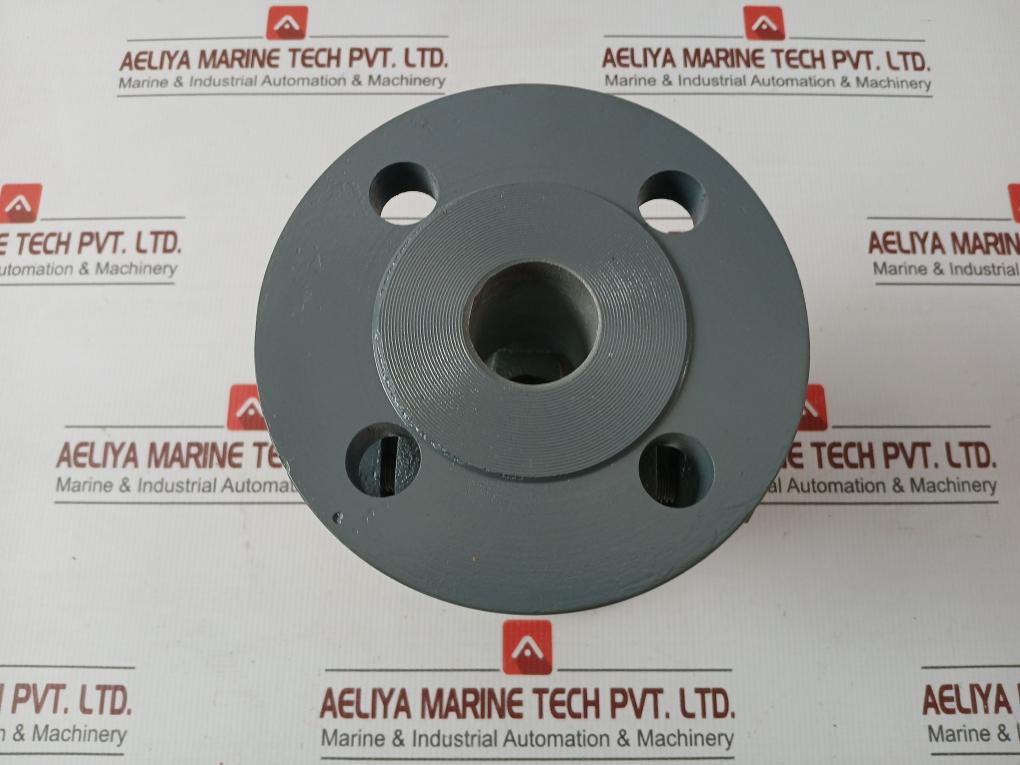 Sight Glass Check Valve En-jl 1040 150C Part No. Dn32 Pn16
