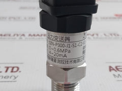 Sin-p300-j1-s1-c2-v1-g2 Pressure Transmitter Henan Xinruipu Dc.24V