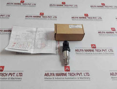 Sin-p300-j1-s1-c2-v1-g2 Pressure Transmitter Henan Xinruipu Dc.24V