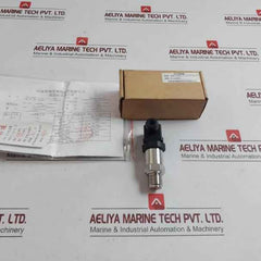 Sin-p300-j1-s1-c2-v1-g2 Pressure Transmitter Henan Xinruipu Dc.24V