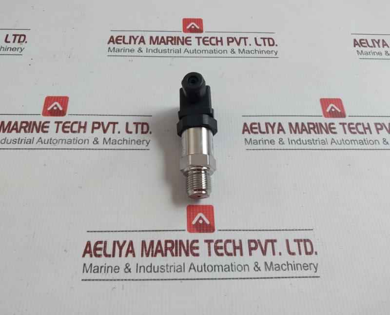 Sin-p300-j1-s1-c2-v1-g2 Pressure Transmitter Henan Xinruipu Dc.24V