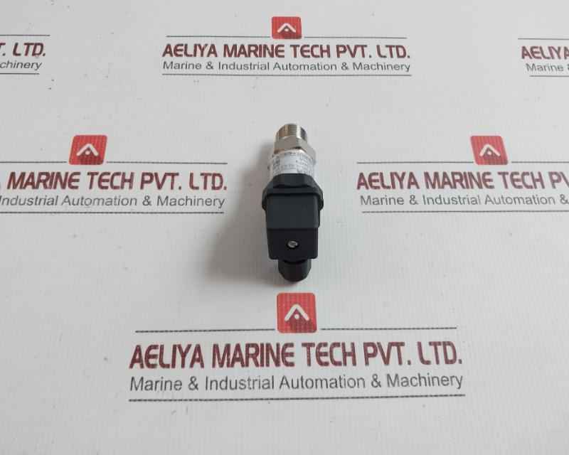Sin-p300-j1-s1-c2-v1-g2 Pressure Transmitter Henan Xinruipu Dc.24V