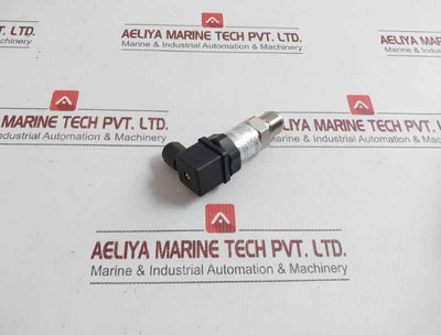Sin-p300-j1-s1-c2-v1-g2 Pressure Transmitter Henan Xinruipu Dc.24V