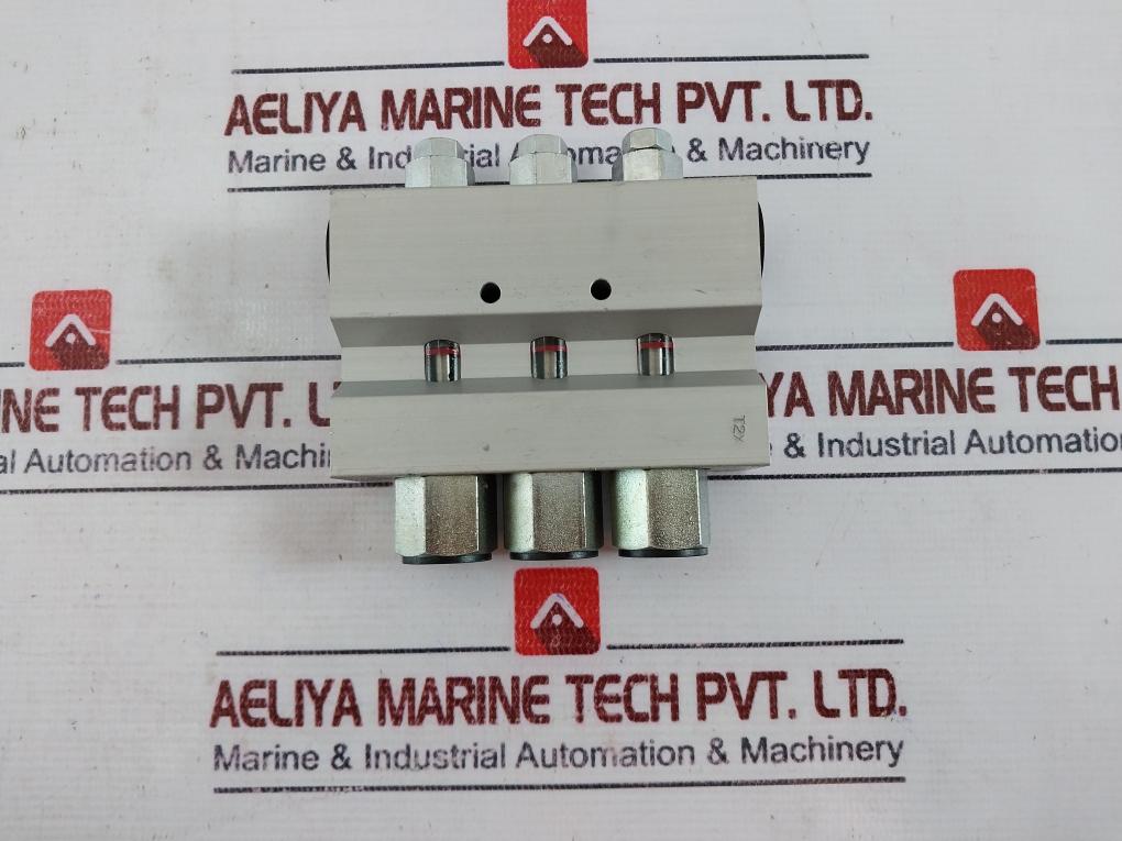 Skf 242-035.00 Device Metering With Restrictors 21021768