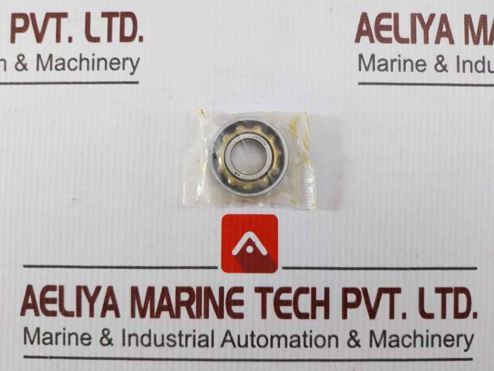 Skf 6313-z Deep Groove Ball Bearing Kit