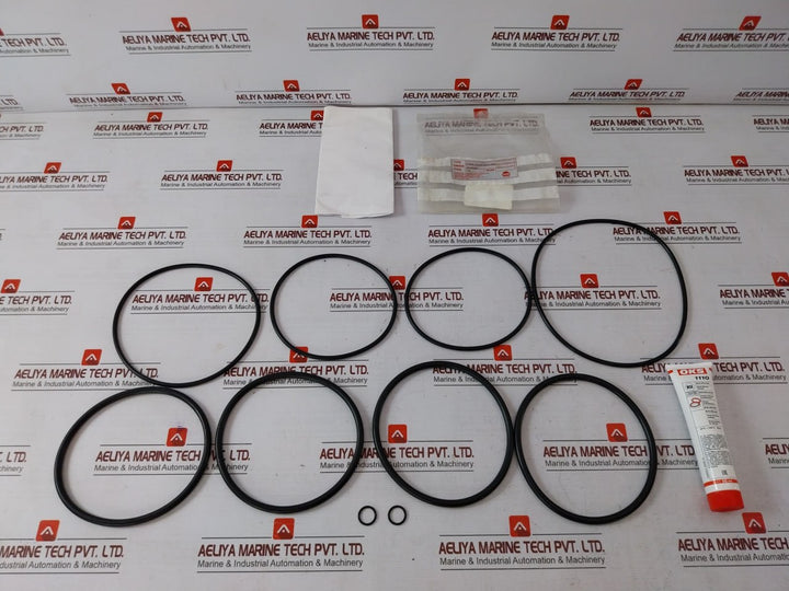 Skum Fjm-150 O-ring Kit For Nozzle So-008321 Rev 0 16911520S