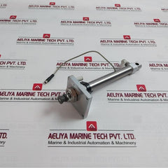 Smc Cd85N20-125C-b-xc6 Air Cylinder
