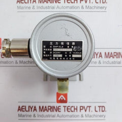Smp-2Lb Pressure Transmitter Meiyo Electric