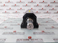 SNR S080S13X Bearing Unit 045 BR: M50X1.5