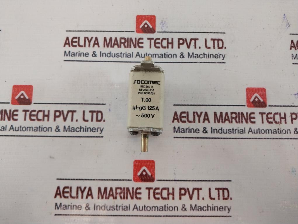 Socomec T.00 Fuse Gl-gg 125A 500V~