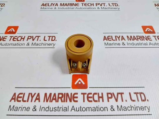 Solenoid Valve Coil 8W 481000 Y46 Lucifer