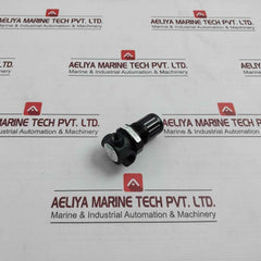 Speedaire 4Zm08 Air Regulator 300 Psig Max 21 Bar Max 160, 602-03-02