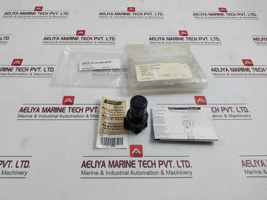 Speedaire 4Zm08 Air Regulator 300 Psig Max 21 Bar Max 160, 602-03-02