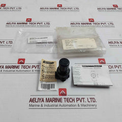 Speedaire 4Zm08 Air Regulator 300 Psig Max 21 Bar Max 160, 602-03-02