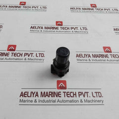 Speedaire 4Zm08 Air Regulator 300 Psig Max 21 Bar Max 160, 602-03-02