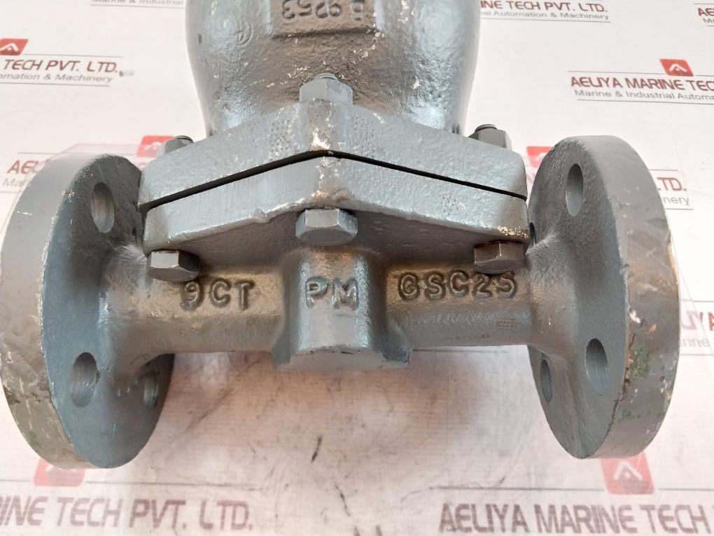Spirax Sarco Ft44-10 Steam Trap Pn40 Dn25