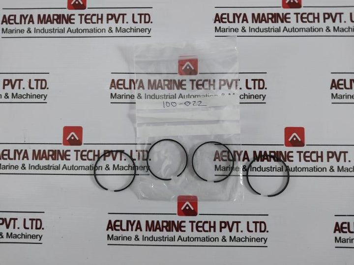 SPX Globe 139-911 Repair Trolley Piston Motor Seal Kit