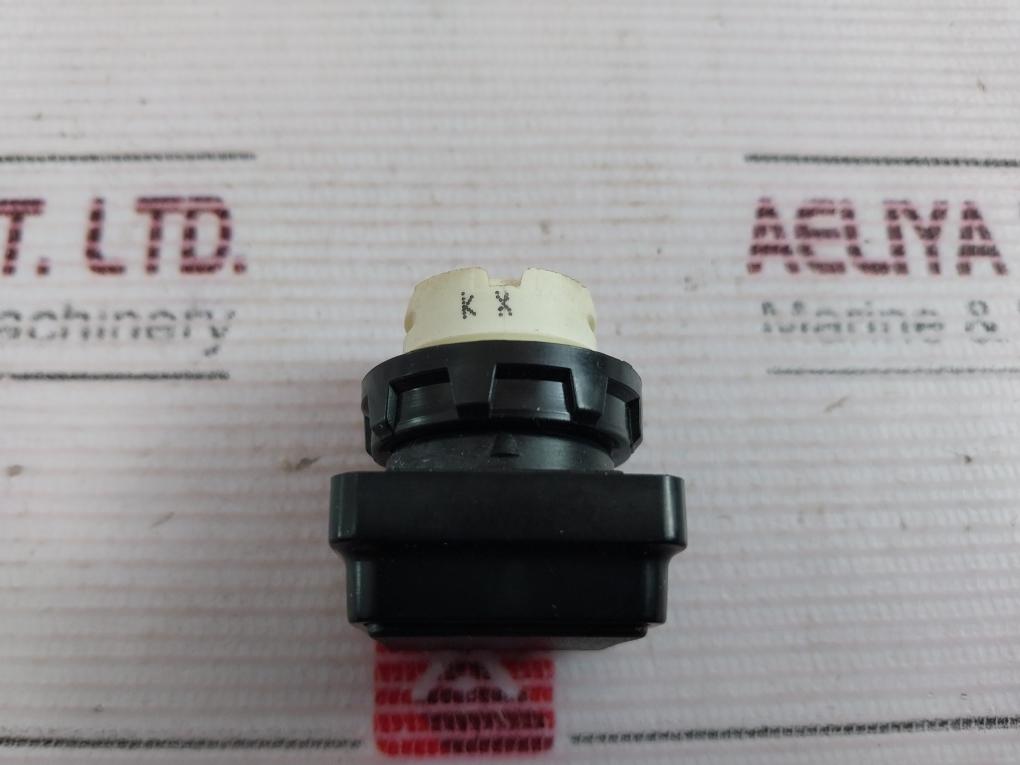 Square D 9001, D1A2S Push Button