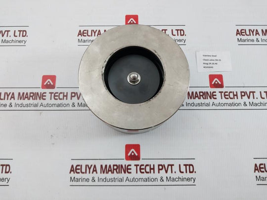 Sr.50.40 Ritag Check Valve On 25 Stainless Steel